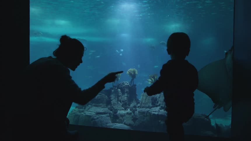 A woman points out fish to her son at an aquarium