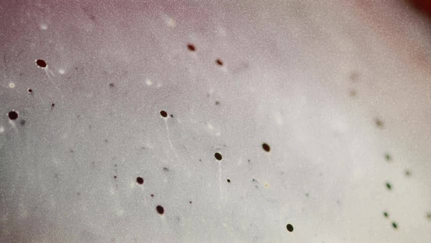Small holes dot filmy pale surface as it moves