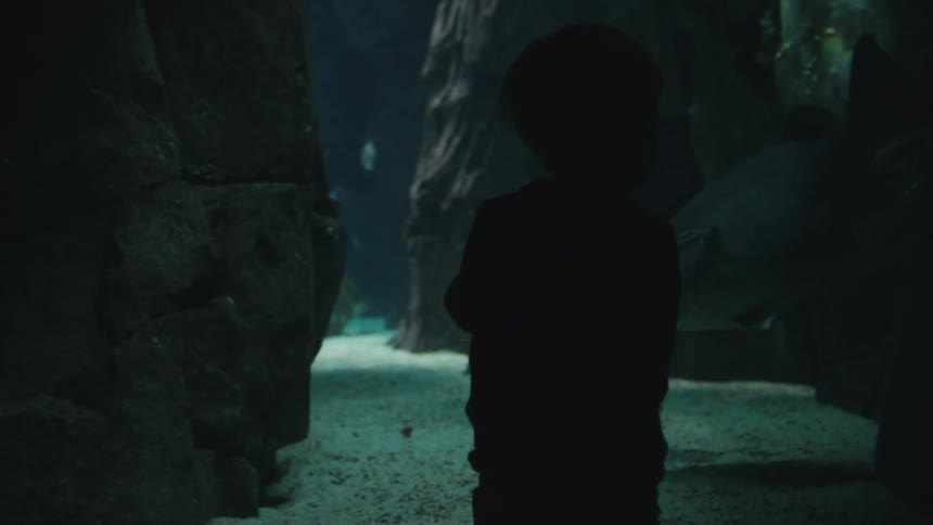 A silhouette of a child standing in front of an aquarium glass as fish swim by