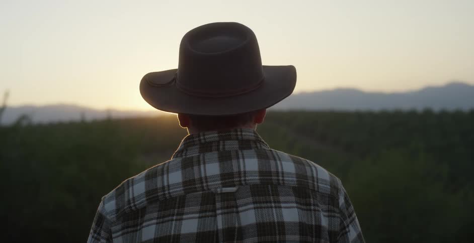 Man wearing cowboy hat and flannel shirt looking out towards the sunset in the country