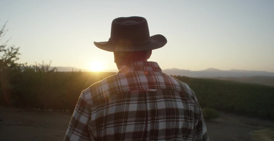 A farmer watches the sun set over a field
