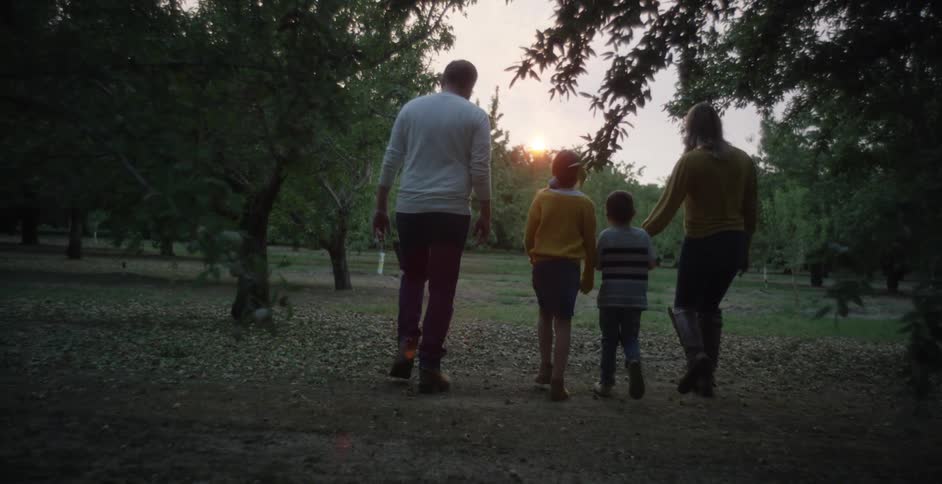 Father and mother are walking with their two children through a field towards the woods