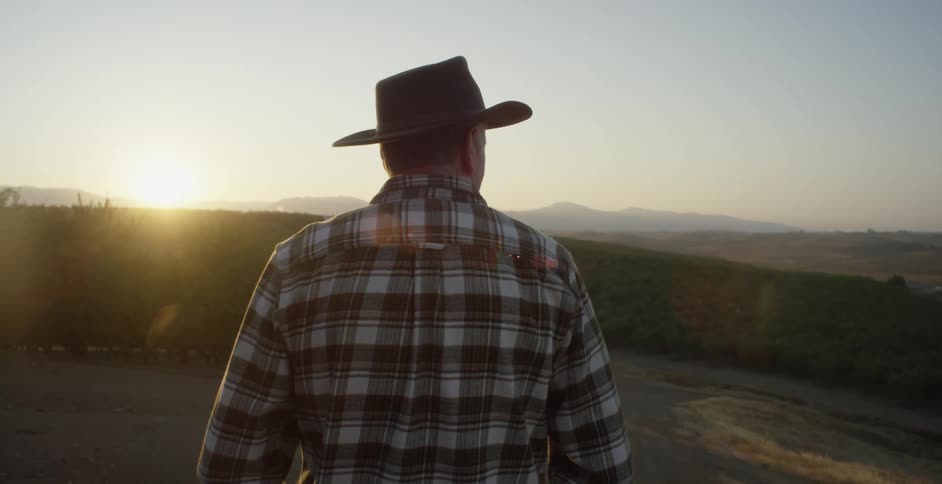 Sun shines from horizon as man looks across plants toward dirt road