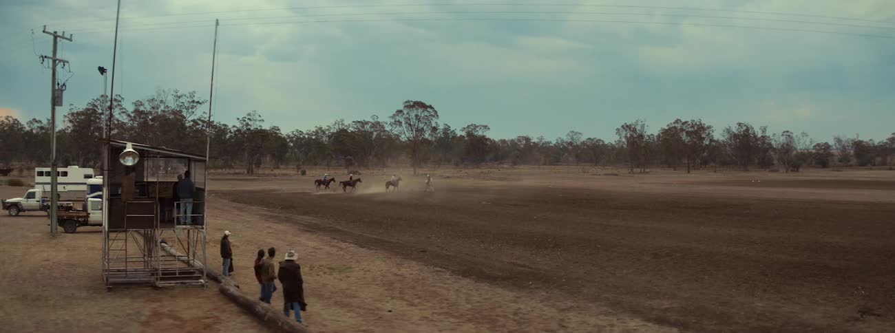 Cowboys ride horses on the field