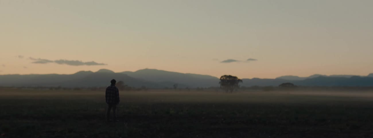 A man standing in a field at dawn gazing at the mountains at the horizon