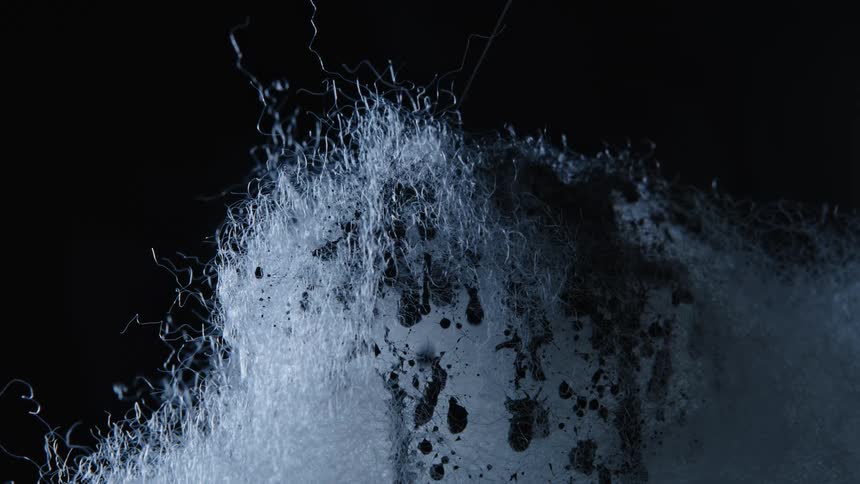 Black liquid dripping on a white fluffy substance