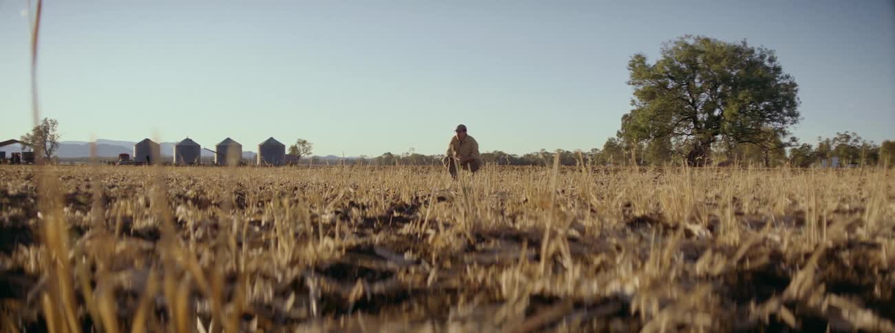A male farmer crouching in a field