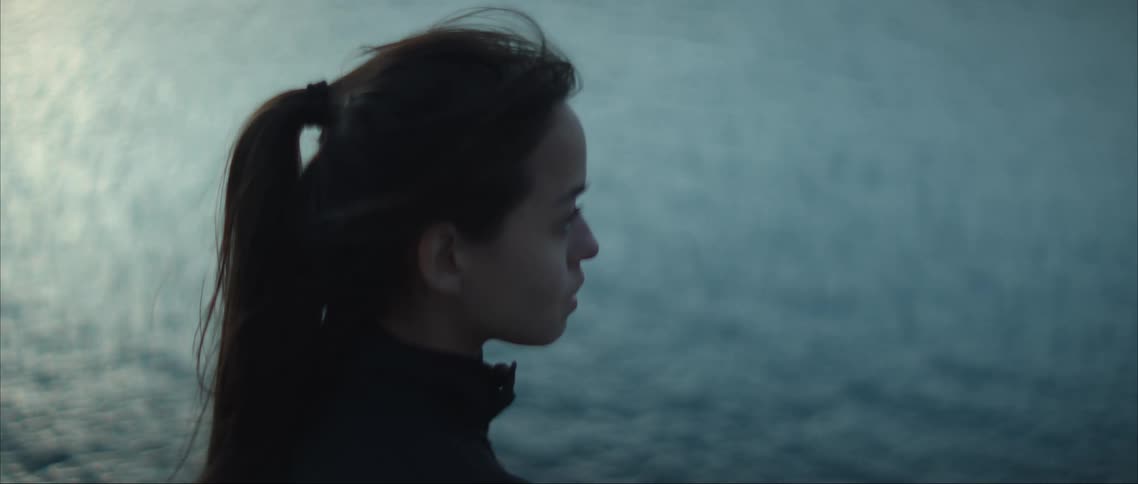 Long haired young woman gazing at the ocean at dusk in a contemplative mood