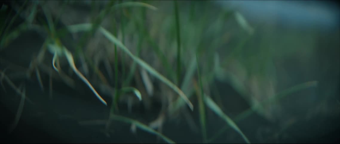 Grass on a hill moves in the breeze under a cloudy sky