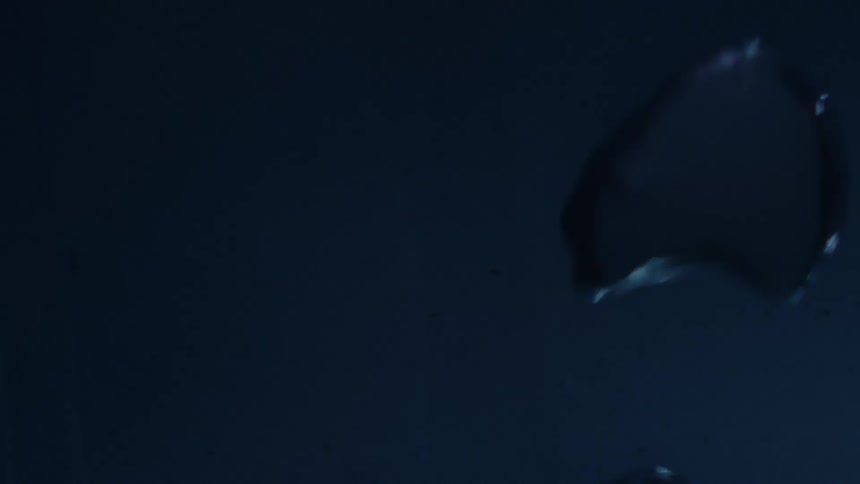 Bubbles rise under the water