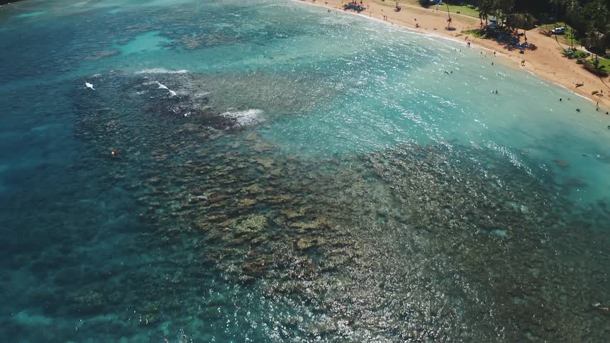 Aerial view of people on a tropical beach with beautiful clear blue waters and reefs