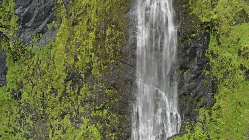A bird flies by as waterfalls flow over a moss covered cliff