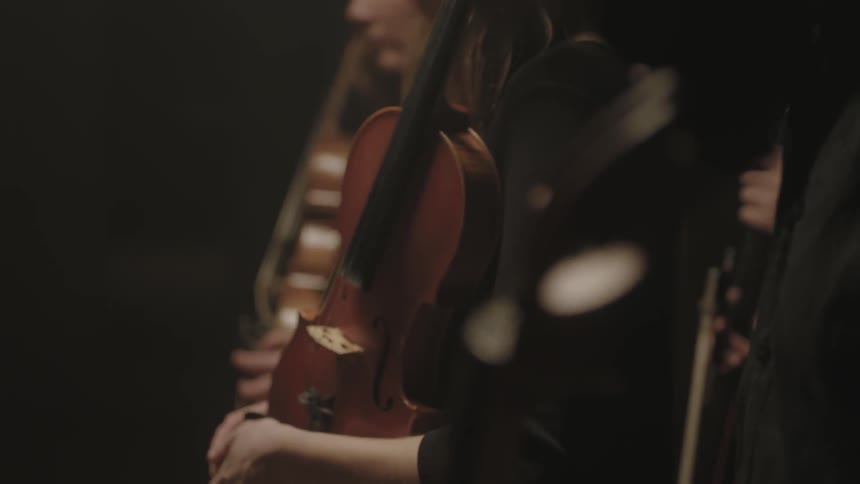 Close up of musicians holding violins