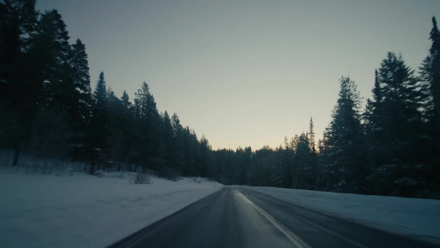 A roadway in winter with snow and pine trees on either side of the road