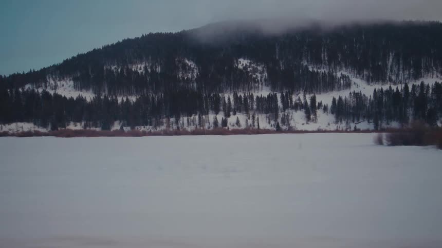 Reddish plants contrast with snow covered field and conifer covered mountain under low lying clouds