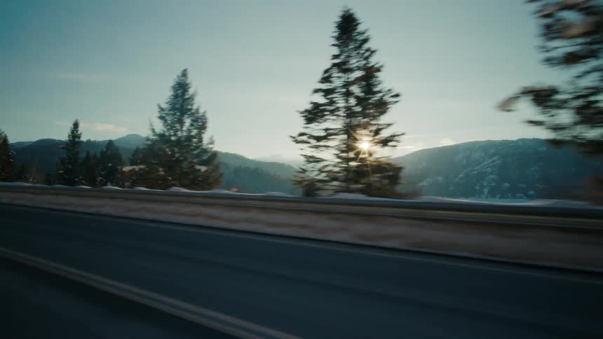 A guardrail separates a rural highway from the woods