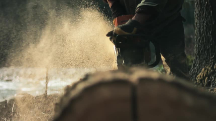 A man uses a chainsaw to slice a tree trunk in half