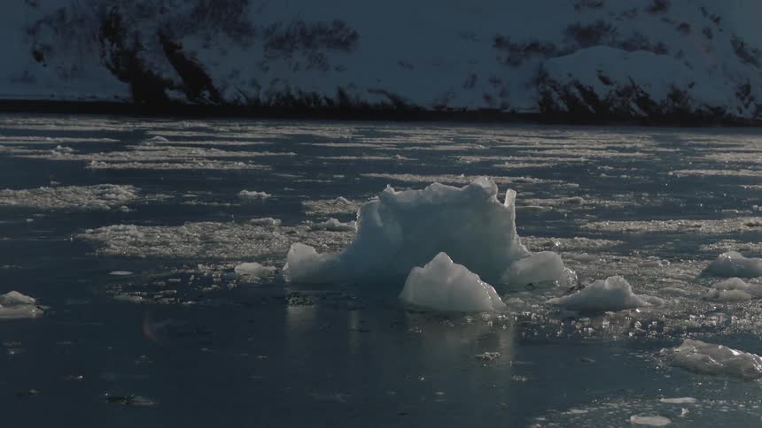 Ice chunks in a body of water