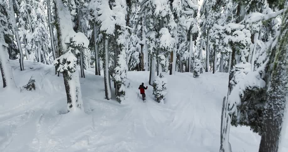 A snowboarder is riding through trees on a snow covered mountain on a winter day
