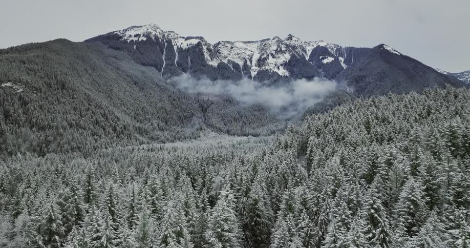 Aerial view of snowy woods and mountains
