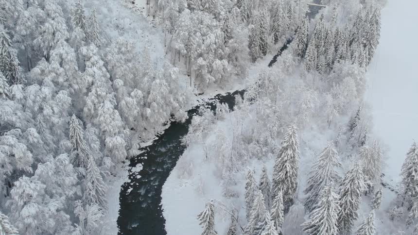 An aerial view of a snowy forest and river in nature on a freezing day
