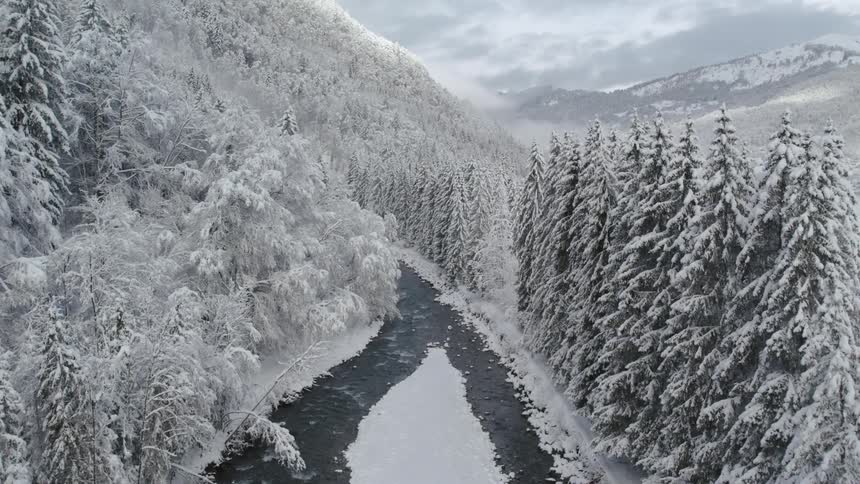 An aerial view of a river and snowy forest in nature on a freezing day