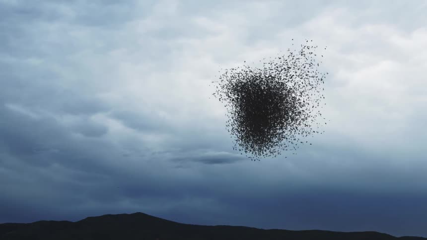 The group of bugs fly in the sky
