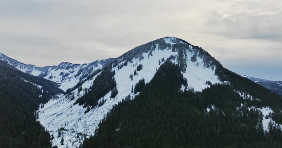 Forest and snow cover mountains under an overcast sky