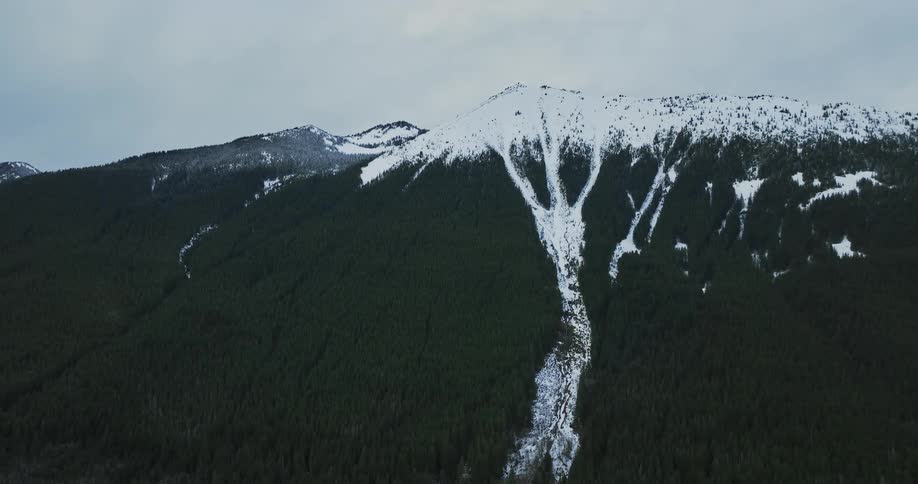 A snow capped mountain ridge covered in forest under a cloudy sky