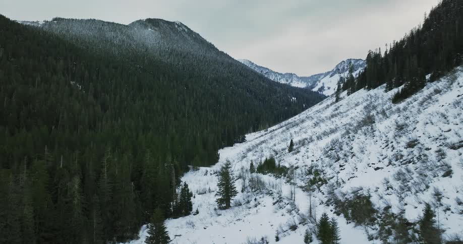 Trees line the side of a snowy mountain range