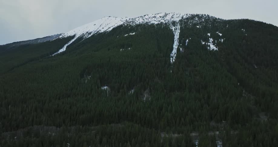 Aerial view of trees covering a mountainous area is displayed