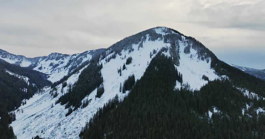 Aerial view of snowy mountain slope and forest