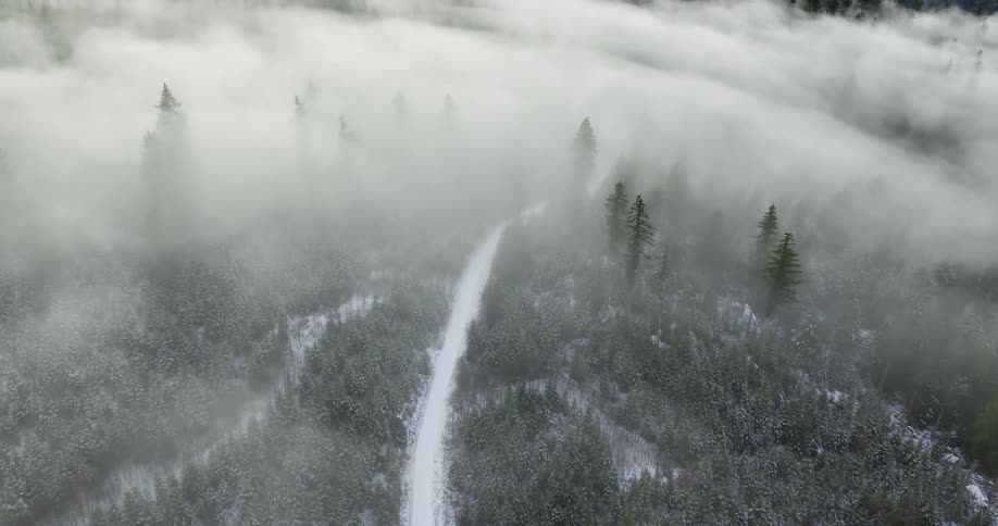 An aerial view of a frosty forest on a foggy day