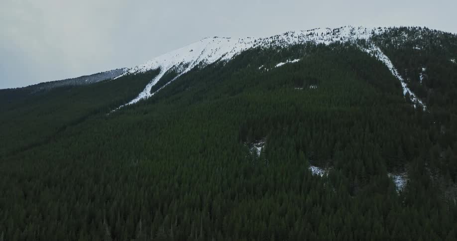 A tree covered mountainside with snow at the peaks