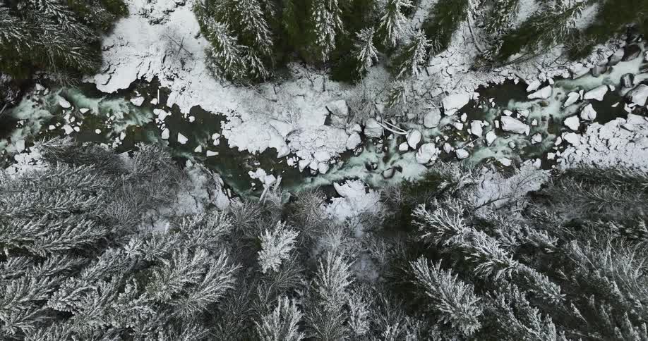 Aerial view of a stream in a forest area is displayed