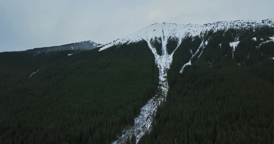 Aerial view of snowy mountain top and big forest