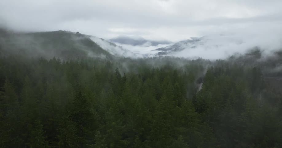 Snow dusted mountain peaks above a green forest on a cloudy foggy day