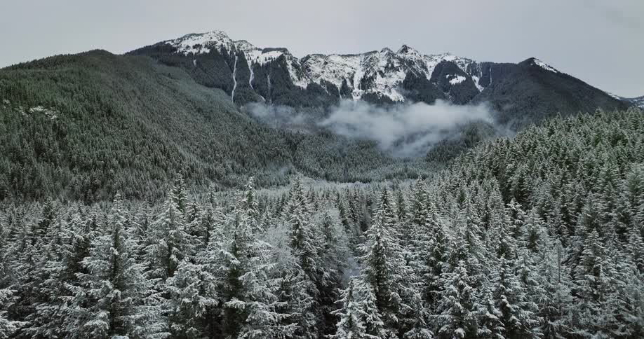 Snow covered trees in a forest and forest mountains in the distance with snow covering the peaks of a mountain ridge and fog rising in front of the mountains
