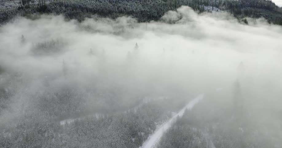 Aerial view of clouds over big snowy forest