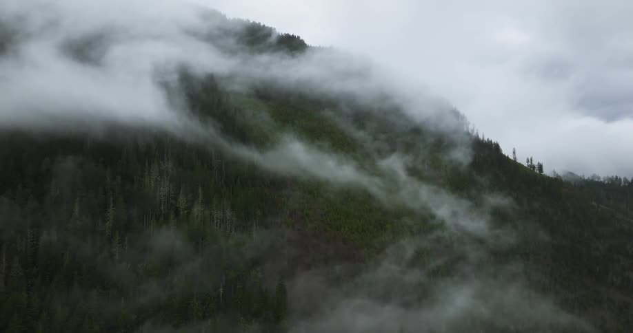 A tree covered mountain slope on a cloudy day