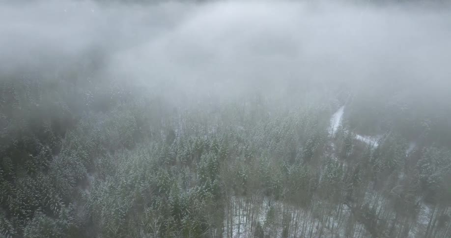 An aerial view of a snowy forest on a cloudy day