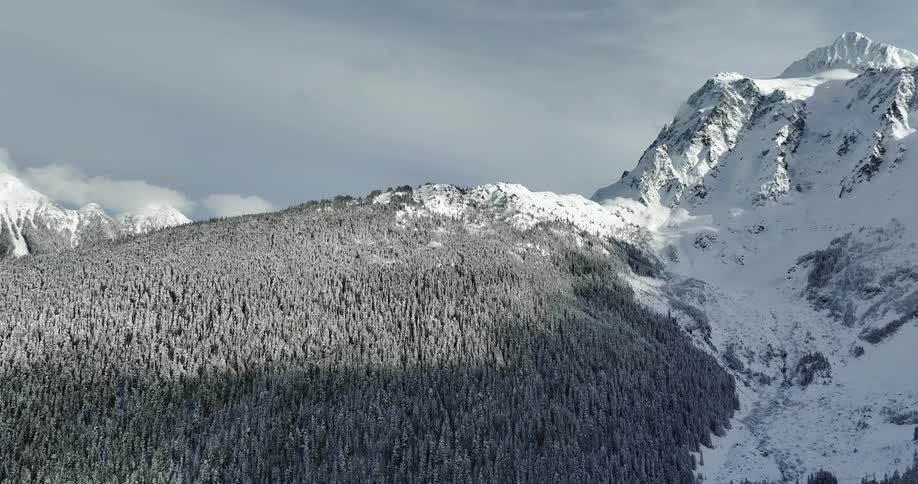 An aerial view of a snowy mountain with a pine forest covered slope