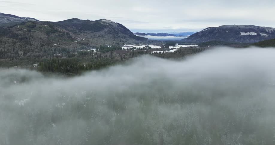 A layer of fog hanging over valley trees with snow dusted mountain and clearing behind