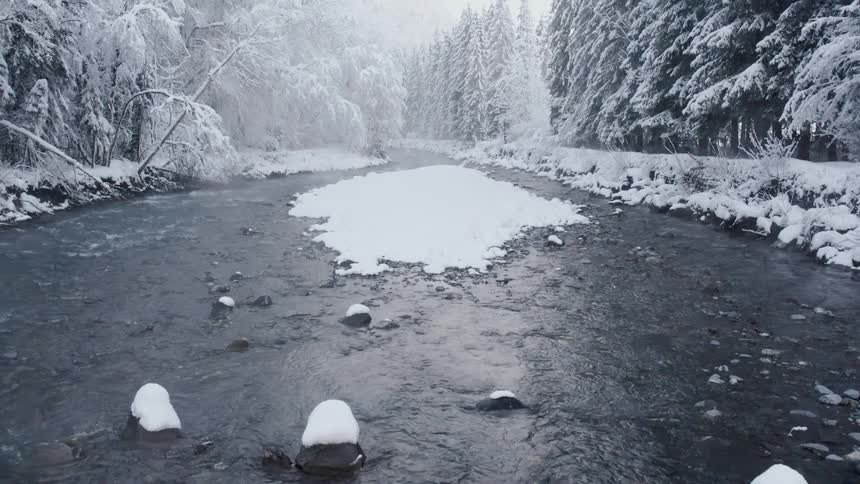 A view of a river during winter in a forest landscape