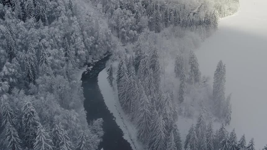 An aerial view of a snowy pine forest with a river running through it