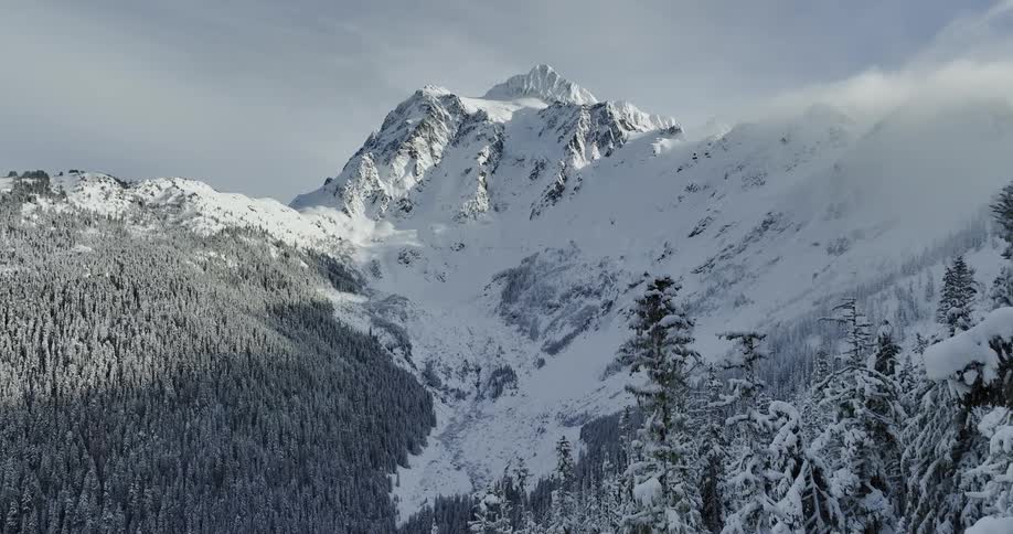 An aerial view of a snow covered mountain and pine forest