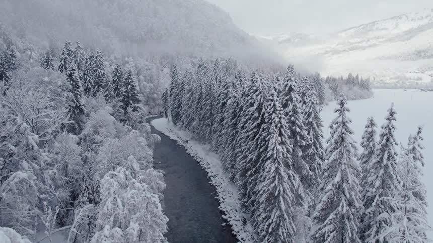 An aerial view of a river in a snowy forest on a winter day