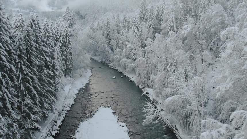 Aerial view of river and snowy forest