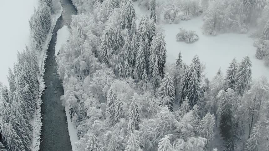 An aerial view of a still wintry forest with a river running through it