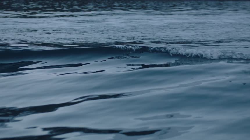Water ripples in a body of water